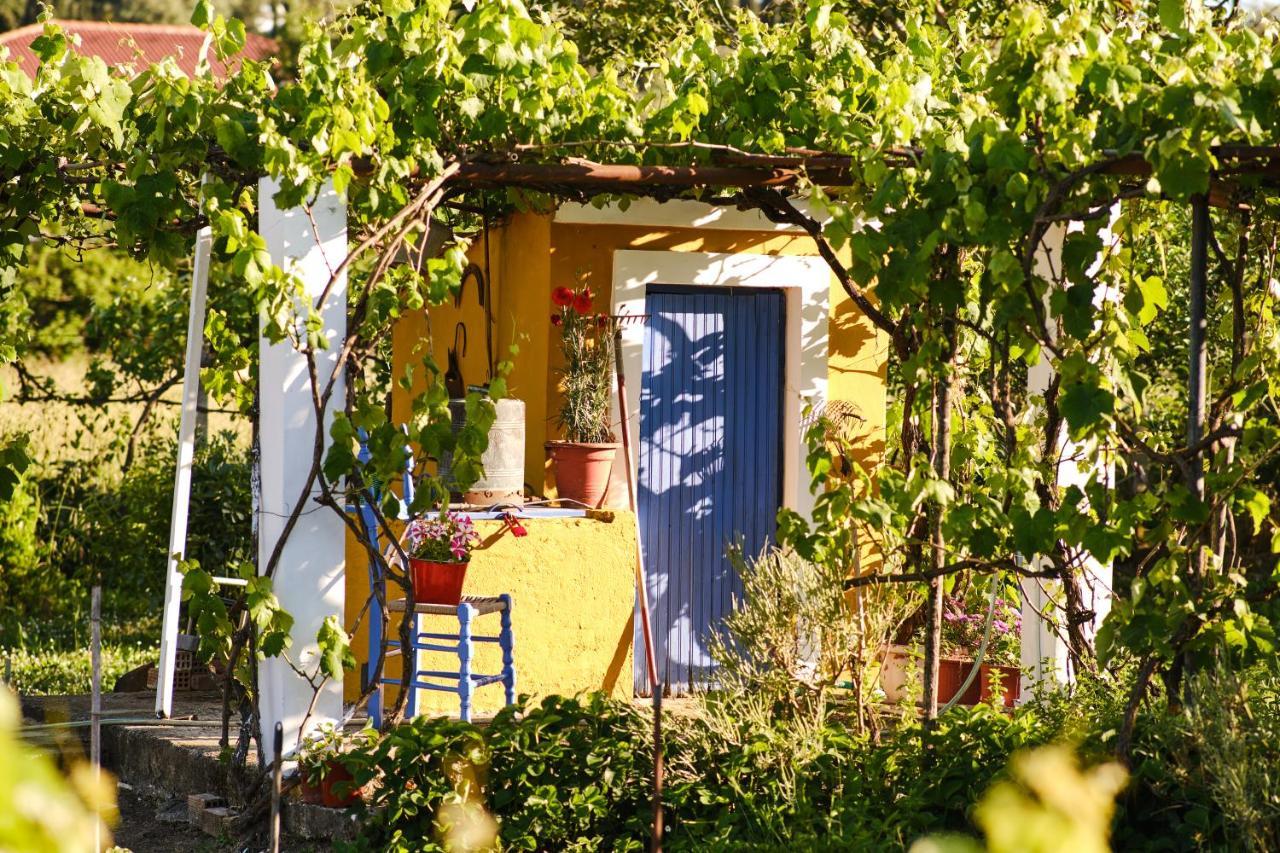 Villa Sandra Litheres Экстерьер фото